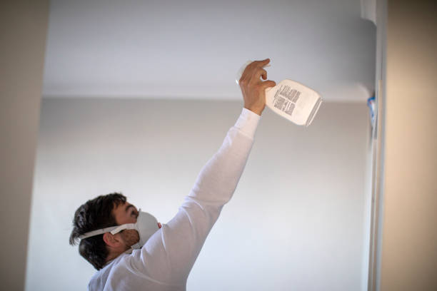 Best Residential Mold Remediation in Follansbee, WV